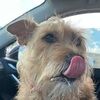 emmyloowho11
